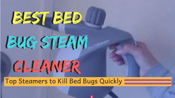Best Bed Bug Steam Cleaner
