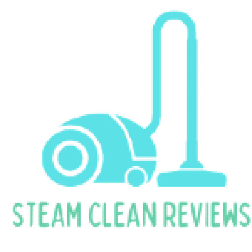 Steam Clean Reviews