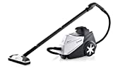 Reliable Brio 250CC Steam Cleaner, Multi-Purpose